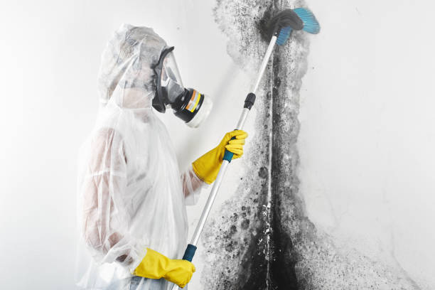 Best Environmental Consulting for Mold Prevention  in Bon Secour, AL