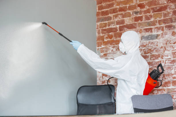 Best Mold Documentation for Insurance Claims  in Bon Secour, AL
