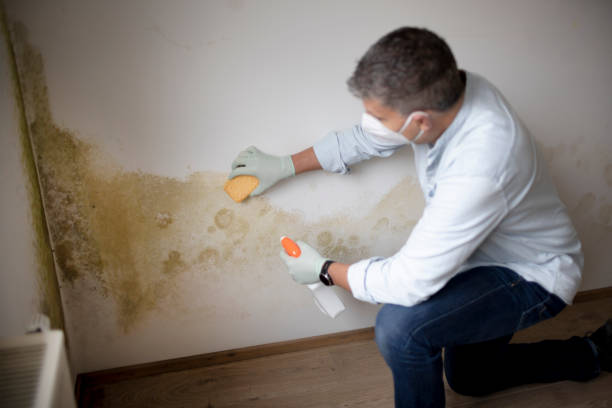 Bon Secour, AL Mold Removal Company